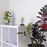 Appartement Casa Luz - Arco da Calheta (Madeira)