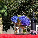 Casa Luz - Arco da Calheta (Madeira)