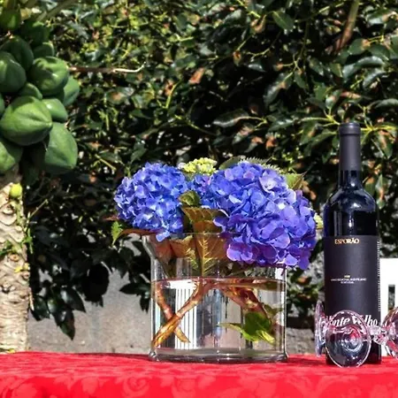 Casa Luz - 阿科达卡列塔